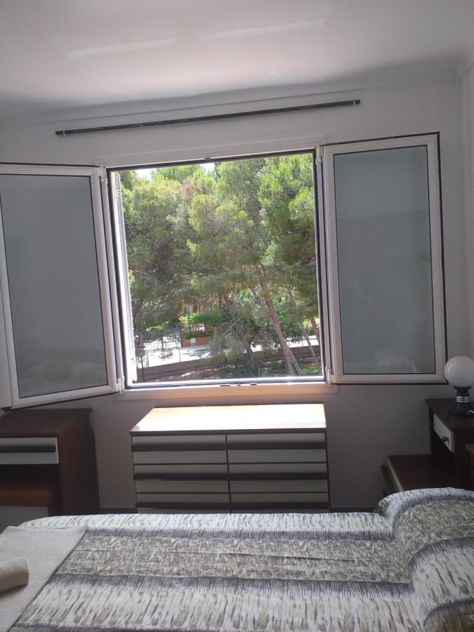 Vistas Al Mar De La Pineda Apartamento